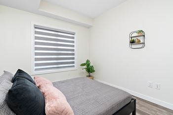 A bedroom with a bed, pillows, a plant, and a picture frame on the wall.